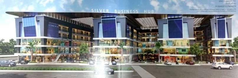 Silver Business Hub