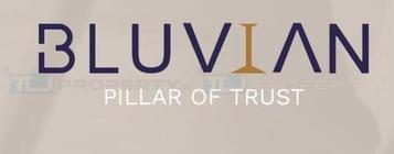 BLUVIAN - PILLAR OF TRUST Image